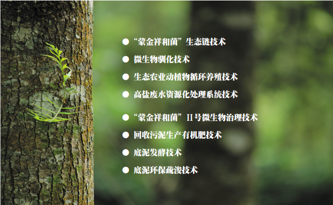 核心技術(shù).png 核心技術(shù).png